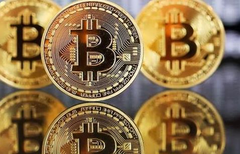 TP钱包不显示宝贝狗问题解决方法